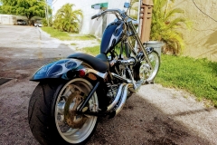 2004 BDM chopper